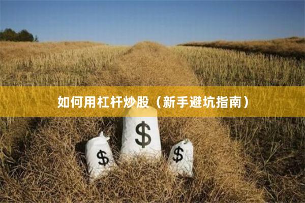 如何用杠杆炒股（新手避坑指南）